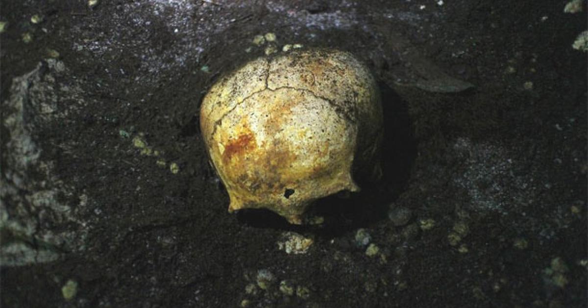 Elongated skull in Mayan cave
