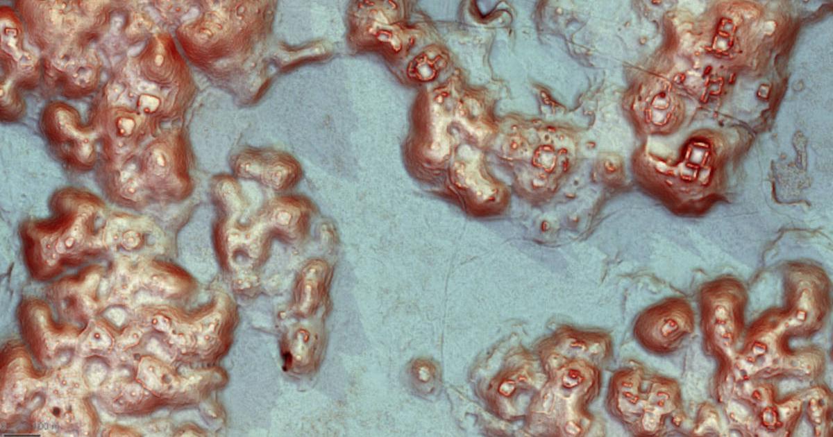 Lidar image reveals ancient buildings and landscape modifications (including public plazas, agricultural terraces, and field walls)