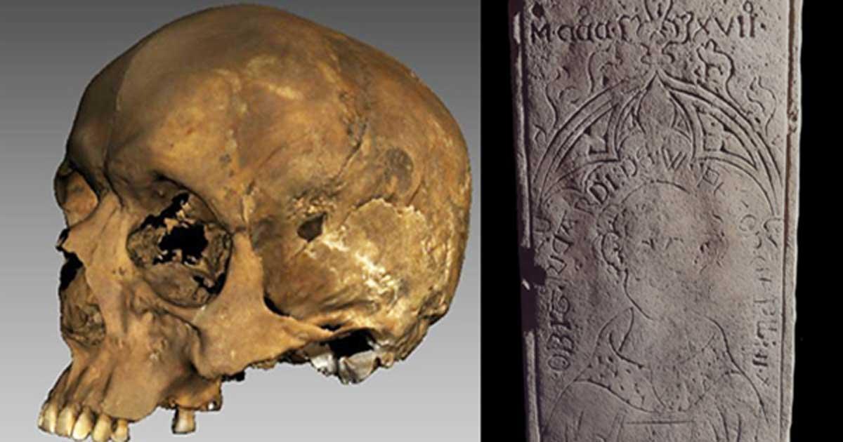 The recently unearthed medieval priest’s skull and coffin lid. 