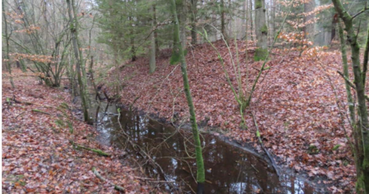 Moat around the lost Medieval town of Stolzenberg.