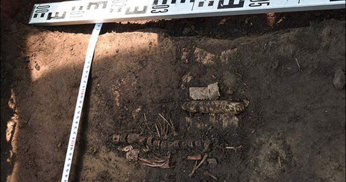 Mesolithic fish and chips?