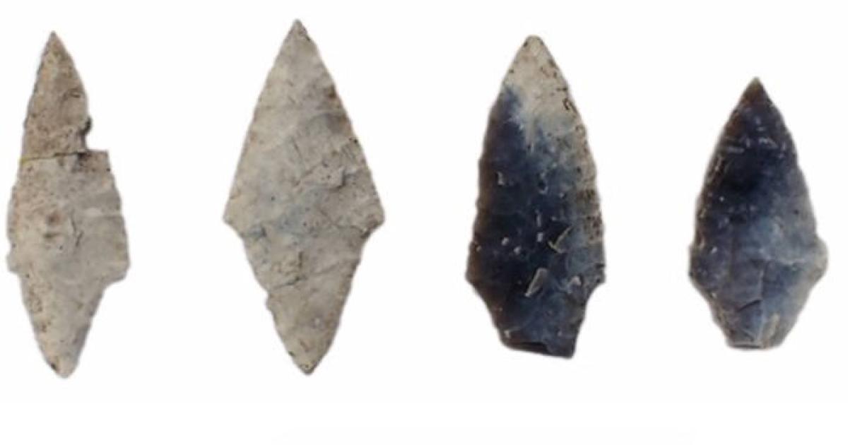Bifacial points found at the Stone Age Zvejnieki cemetery 