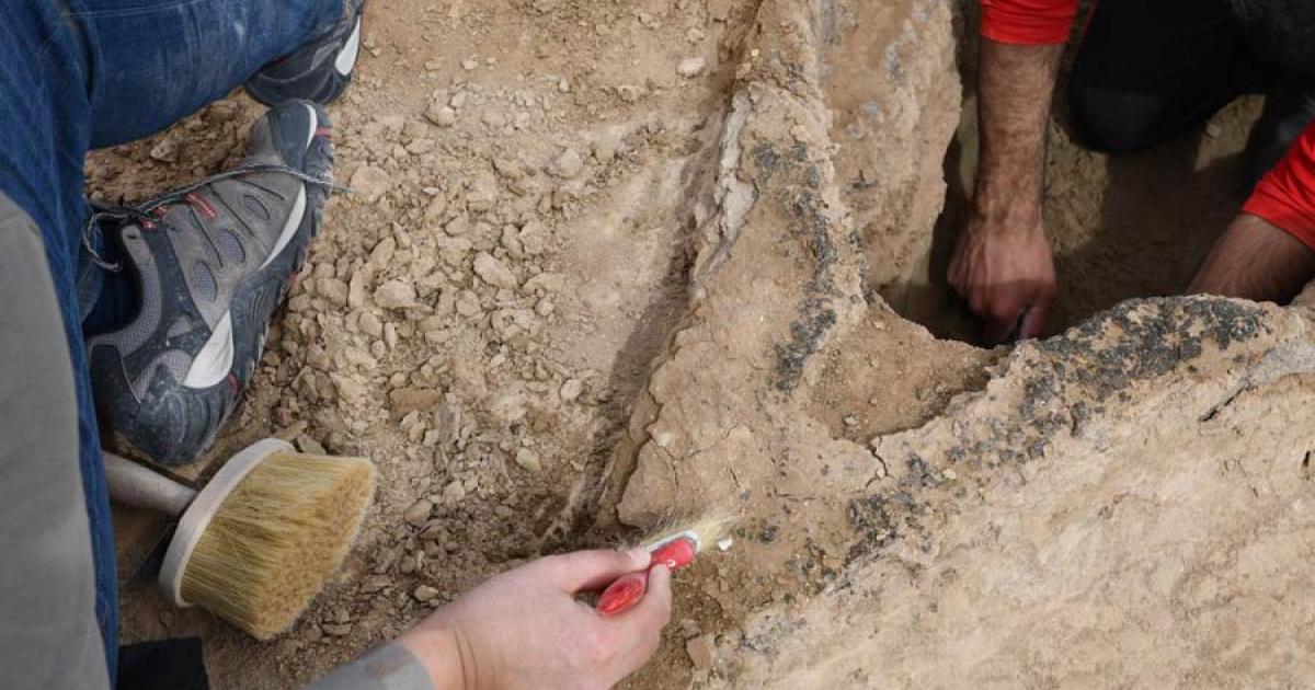 Ancient Mesopotamian boat unearthed near Uruk. Source: Julia Nador - Deutsches Archäologisches Institut / CC-BY-NC-ND