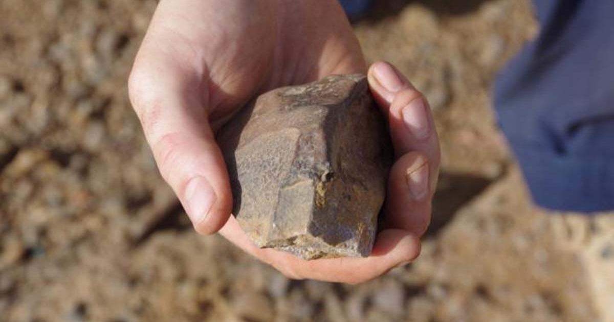 Human Evolutionary Theory Needs Updating, Again