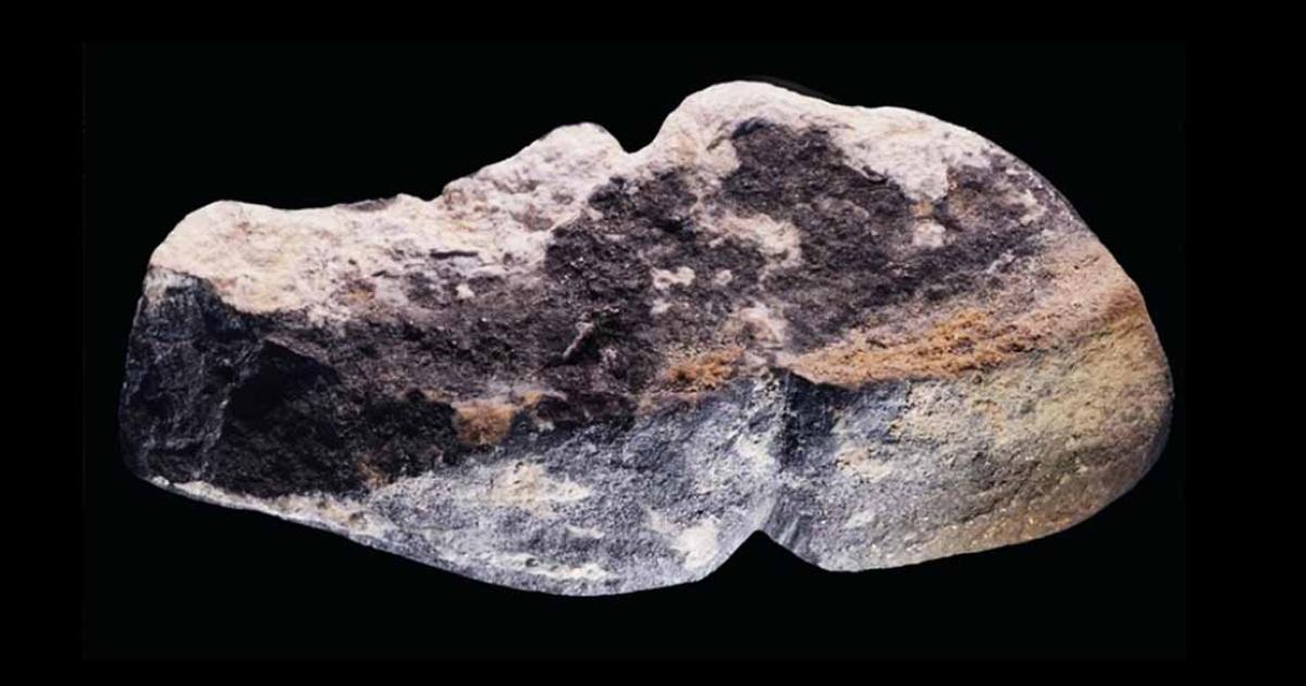 Study claims that this piece of graphite is actually a 42,000-year-old carved Mongolian phallus. Source: Solange Rigaud et. al. / CC BY 4.0