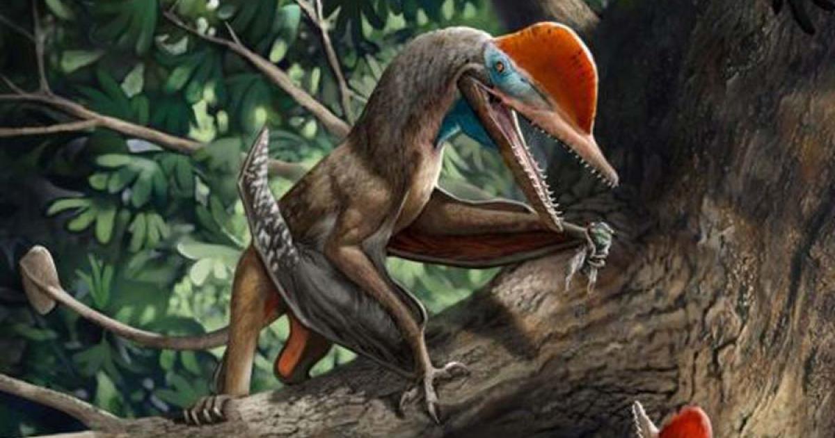 2020, Year of the Deeply Ancient Beasts