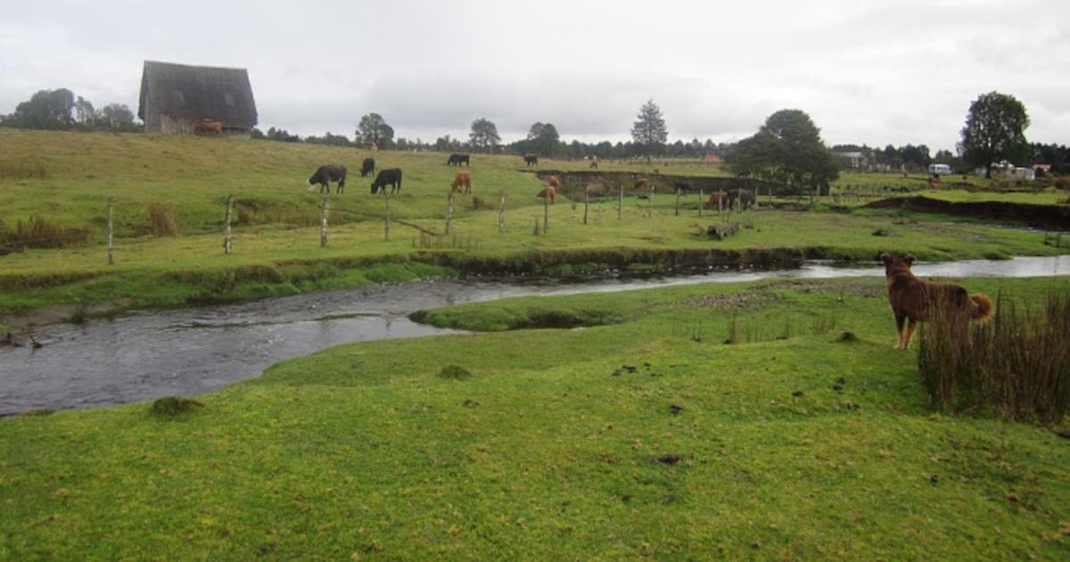 Monte Verde archaeological site, Chile.
