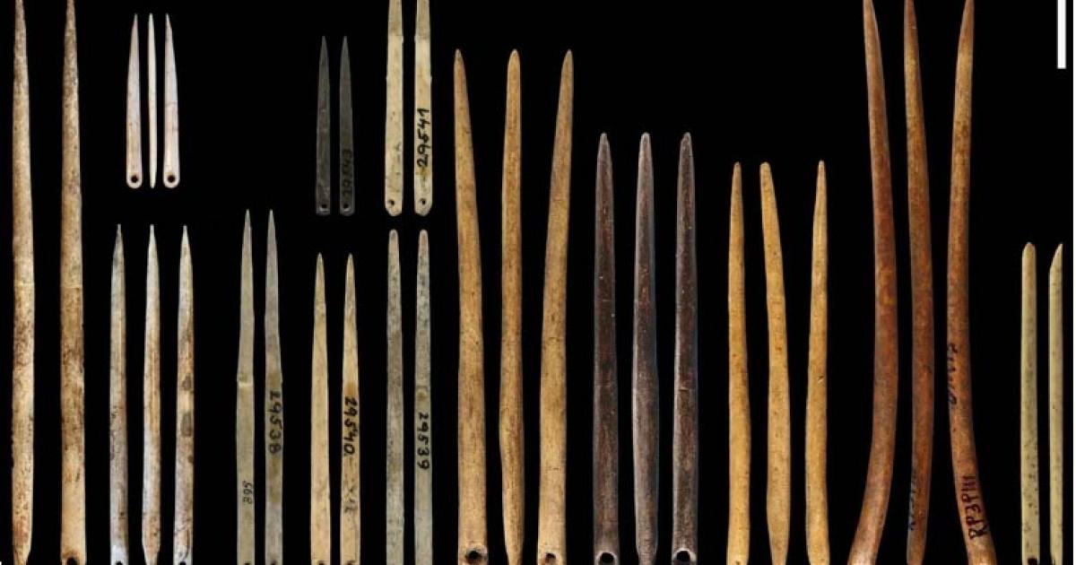 Morphological variation in the size and shape of Late Pleistocene eyed needles. Source: Gilligan et al, 2024