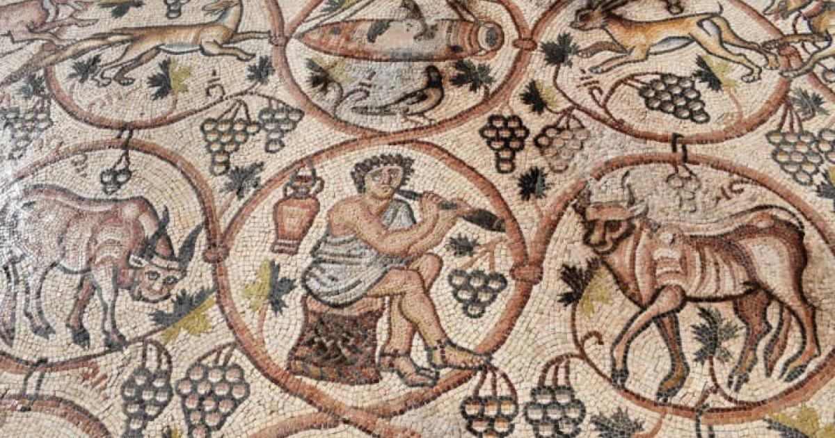 Part of the intricate mosaic reveal in the Western Negev, Israel.