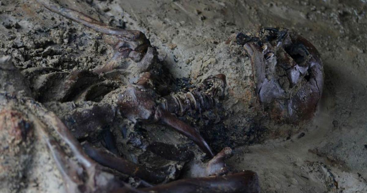 Excavated remains of the last fugitive at Herculaneum archaeological park. Source: Parco Archeologico di Ercolano