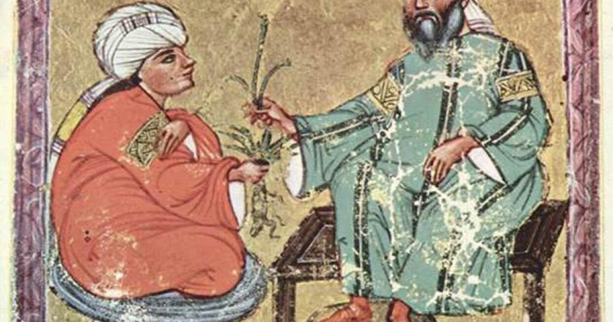 Folio from an Arabic manuscript of Dioscorides, De materia medica, 1229 (Public Domain)