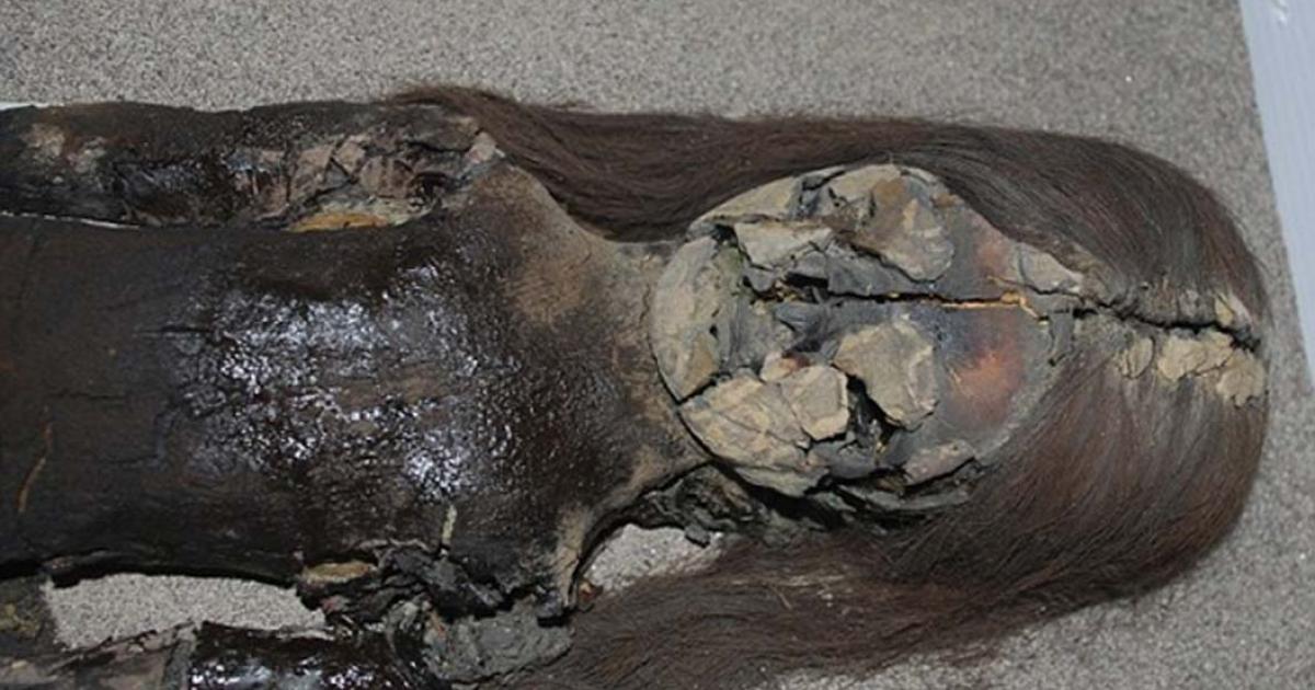Oldest Mummies in the World Are Turning into Black Slime