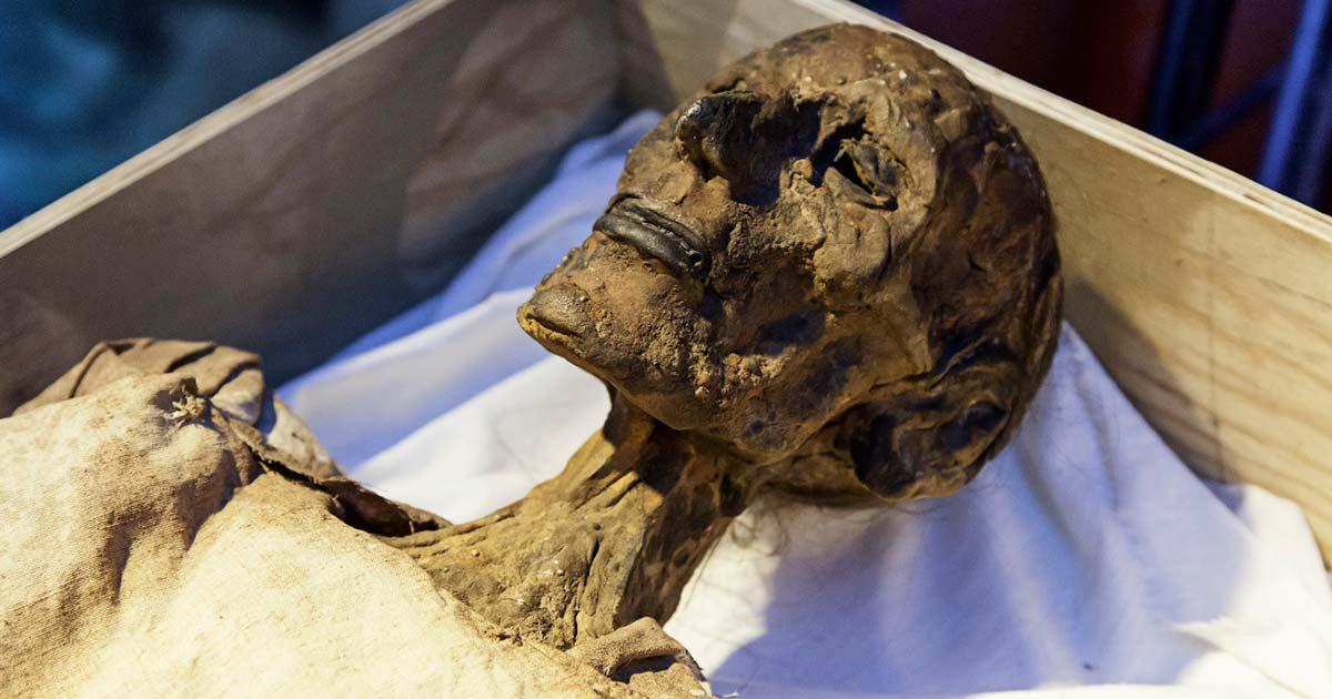 Egyptian mummy. Source: esebene / Adobe Stock.