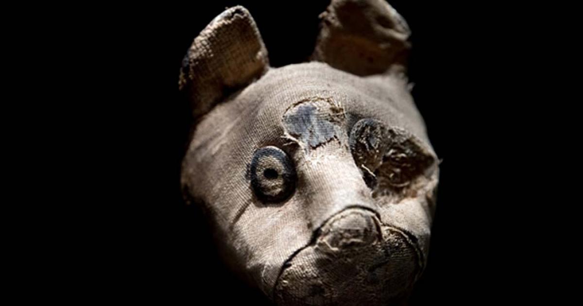 Mummified cat found in Egyptian tomb