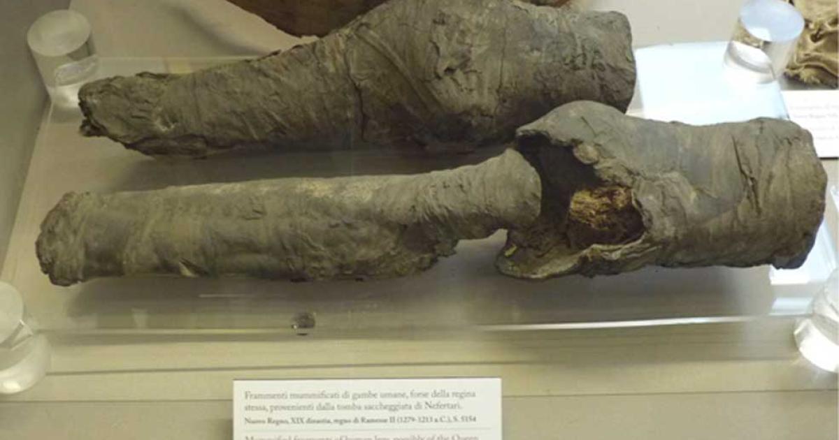 Owner of Mummified Legs Likely to Be Nefertari, Favorite Queen of Ramses II