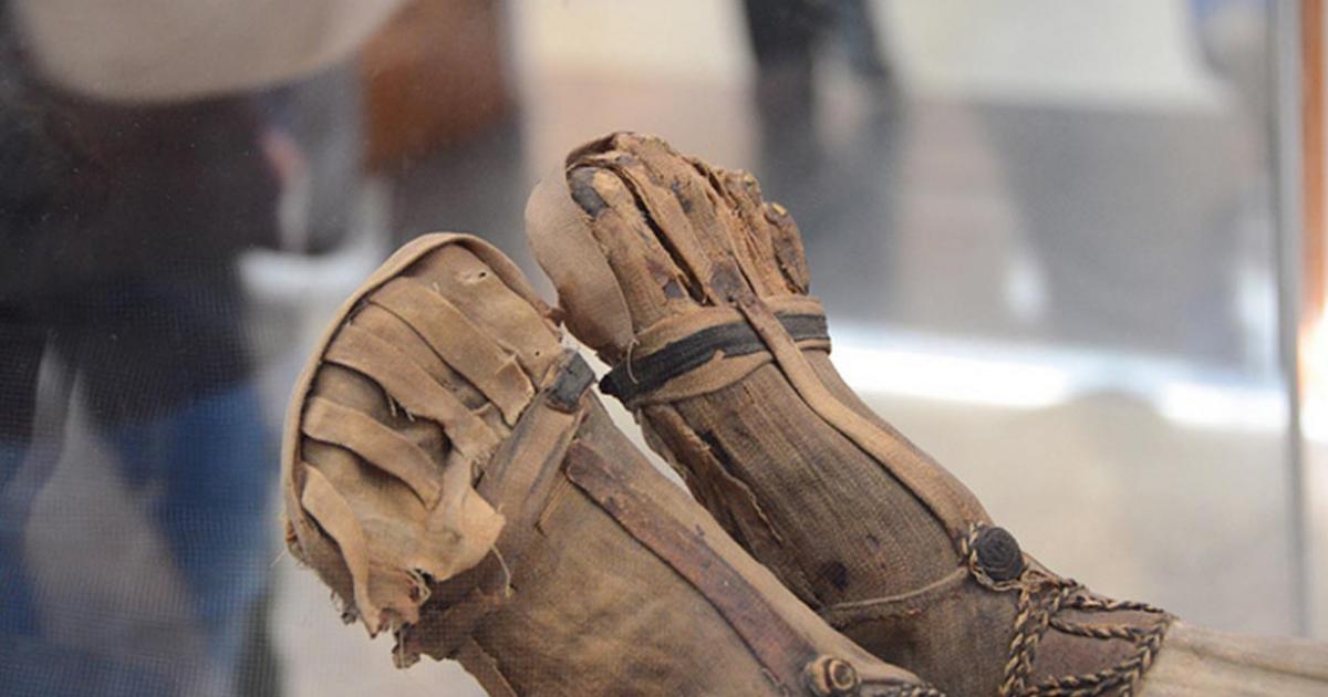 Mummified feet on display at museum. 