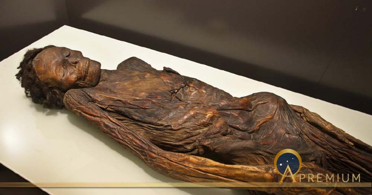 Famous Gaunches Mummies Drenched In Dragons’ Blood Like A Stradivarius Violin