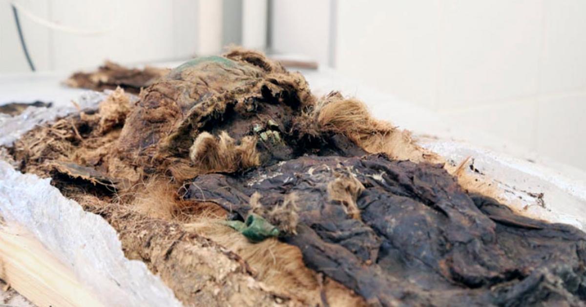 The child - seen here in these remarkable pictures for the first time - appears to be from a higher social strata that previous remains unearthed at the site, the mysterious  Zeleny Yar necropolis. 