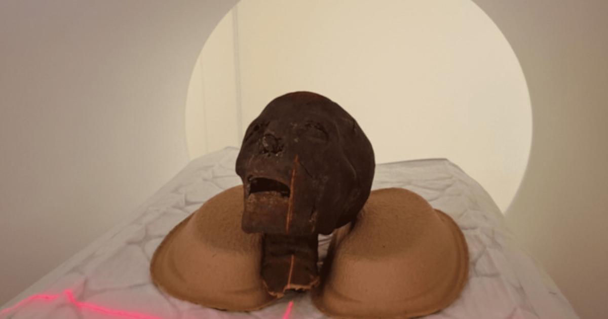 A mummified head going through a CT scanner.