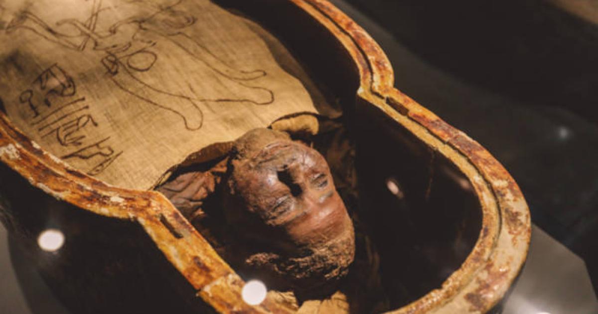 Ancient Egyptian mummies in sarcophagi.