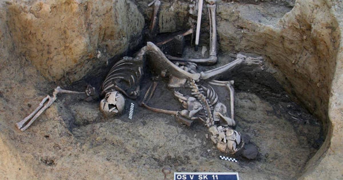 Skeletal remains of some of the seven Roman soldiers discovered in an ancient well at Osijek, Croatia,