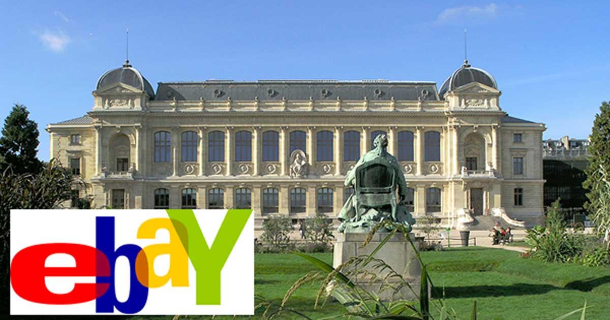 Unlucky Number for Museum Thief Who Was Caught After Putting 666 Artifacts on ebay