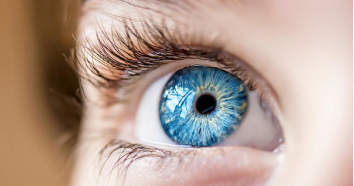 A blue eye close up