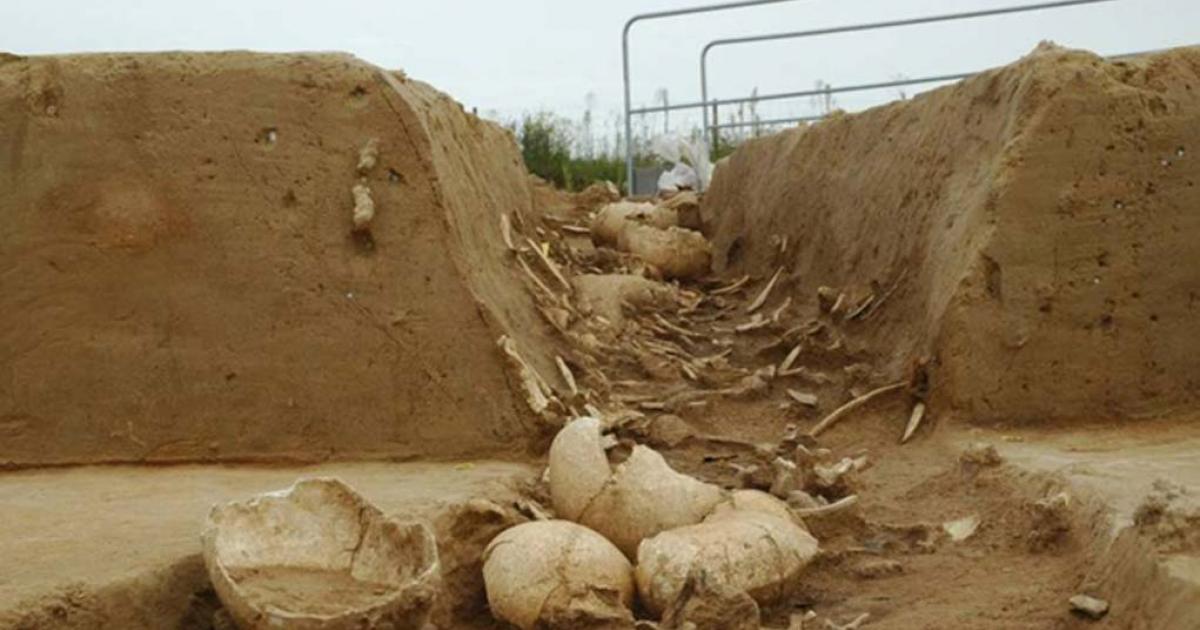 The Mystery of Herxheim: Was an Entire Village Cannibalized? 