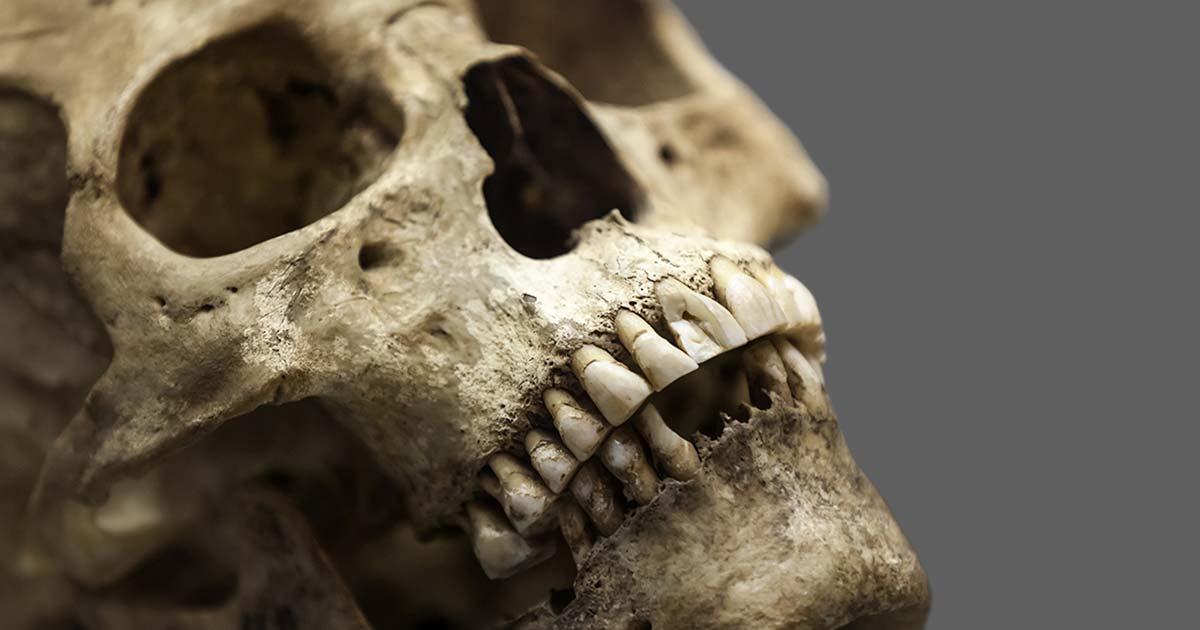 Representational image of human teeth used to analyze details about Native American migration. Source: ia_64 / Adobe Stock