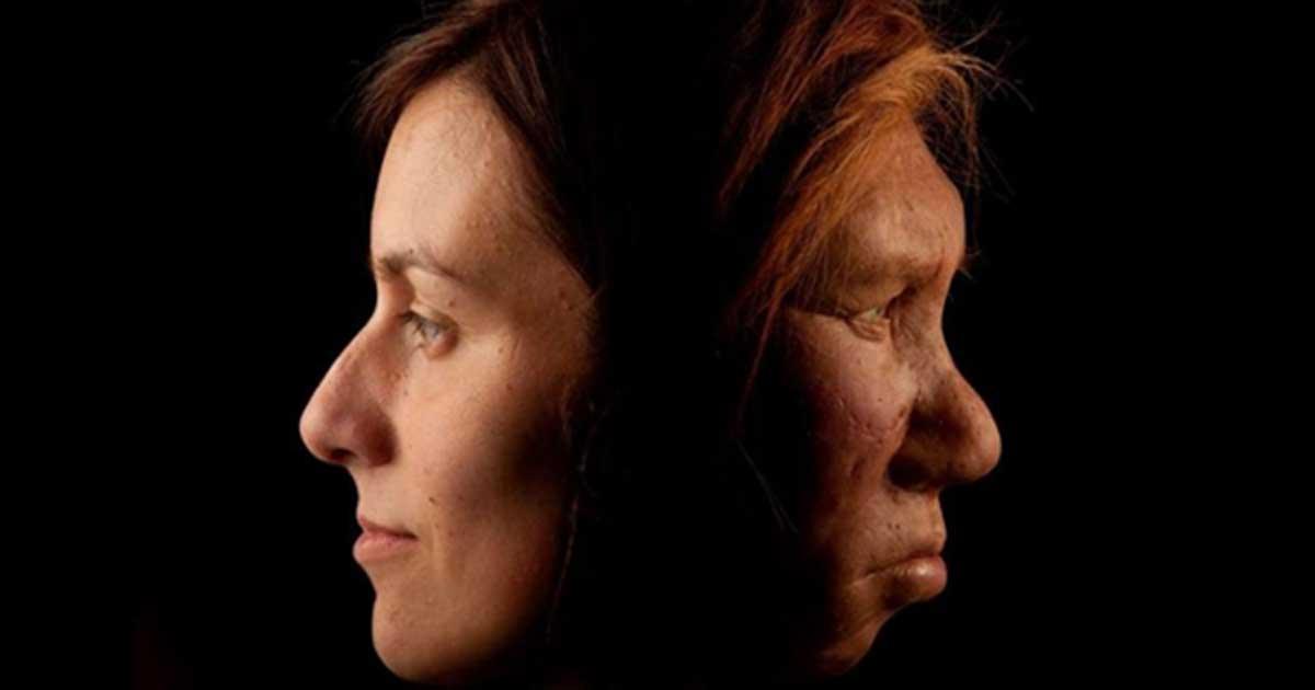 A modern human, left, and Neanderthal woman, right.