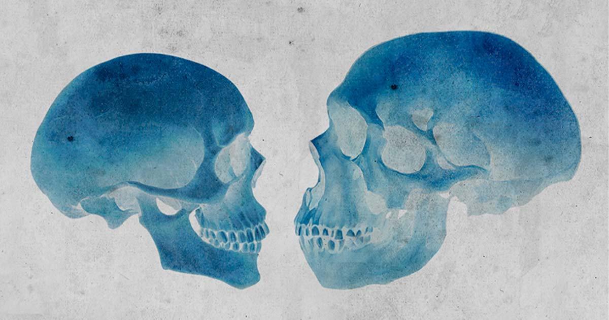 Scientists may have discovered why there is a discrepancy between the Neanderthal DNA present in modern-day Asian and European Homo sapiens. Source: Winters860 / Adobe Stock 