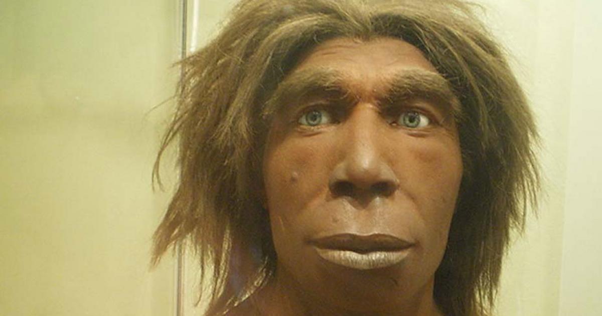 Reconstruction of what a Neanderthal may have looked like in the Museum für Naturkunde, Berlin, Germany