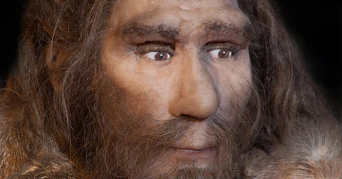 Representation of a Neanderthal. A new study of Neanderthal DNA tells the story of their migrations between Europe and Siberia. Source: procy_ab /Adobe Stock
