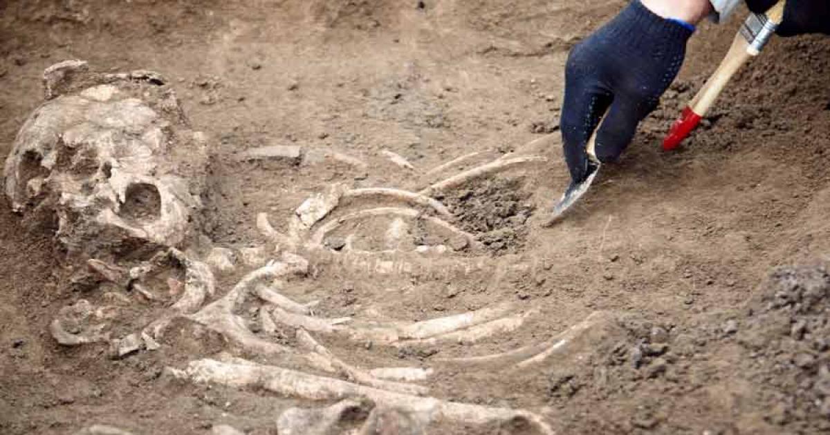 Neanderthal DNA Recovered from Cave Dirt Using Breakthrough Technology