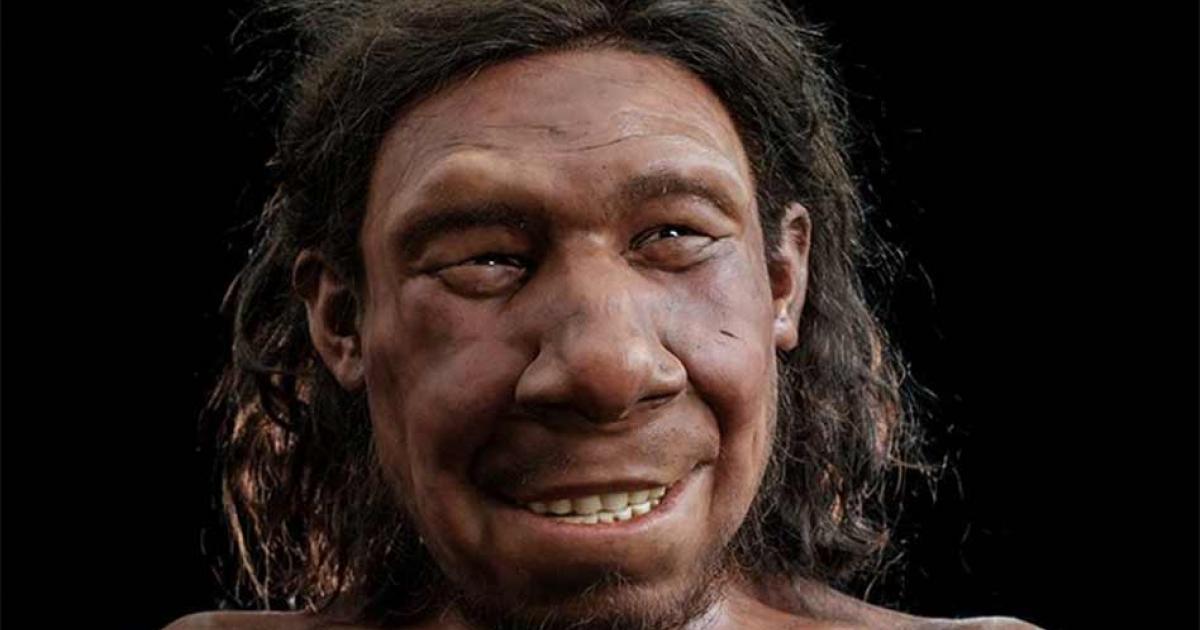 The reconstructed face of Krijn thr Neanderthal from Doggerland.  