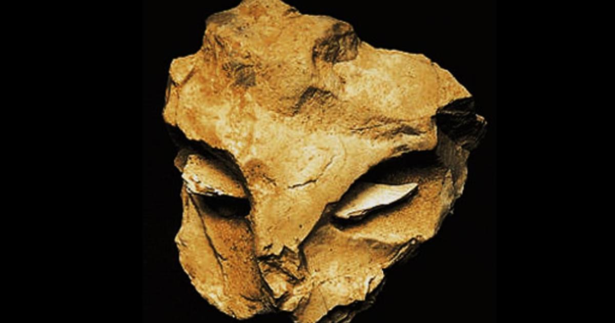 Chiseling Away at the Mystery of the Neanderthal Mask of La Roche-Cotard