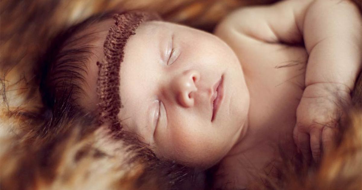 Just Like Us, Neanderthal Babies Ate Solid Food at 6 Months Old