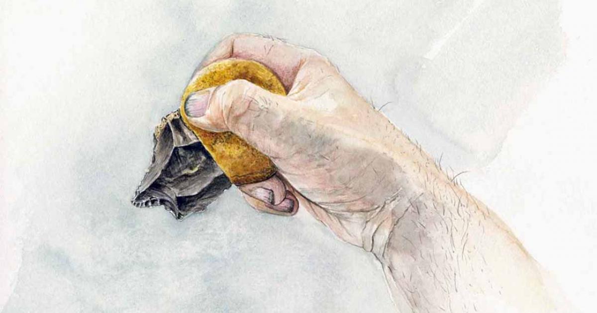 Reconstruction of how the stone artifact with the handle made of the bitumen-ocher mixture could be held by a Neanderthal woman. 	Source: © Berlin State Museums, Museum of Prehistory and Early History, illustration: Daniela Greinert
