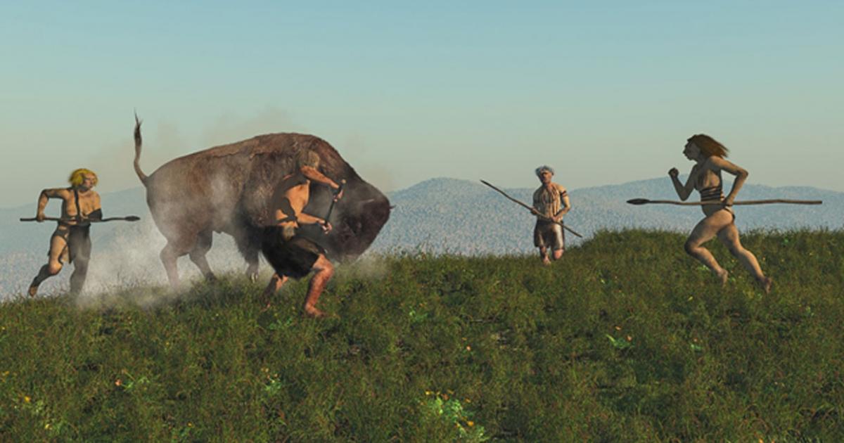 Group of Neanderthal hunting a bison. New research confirms meat was a major part of the Neanderthal diet. 