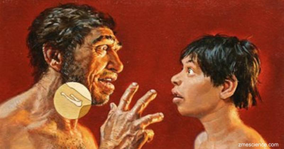 Neanderthal Language