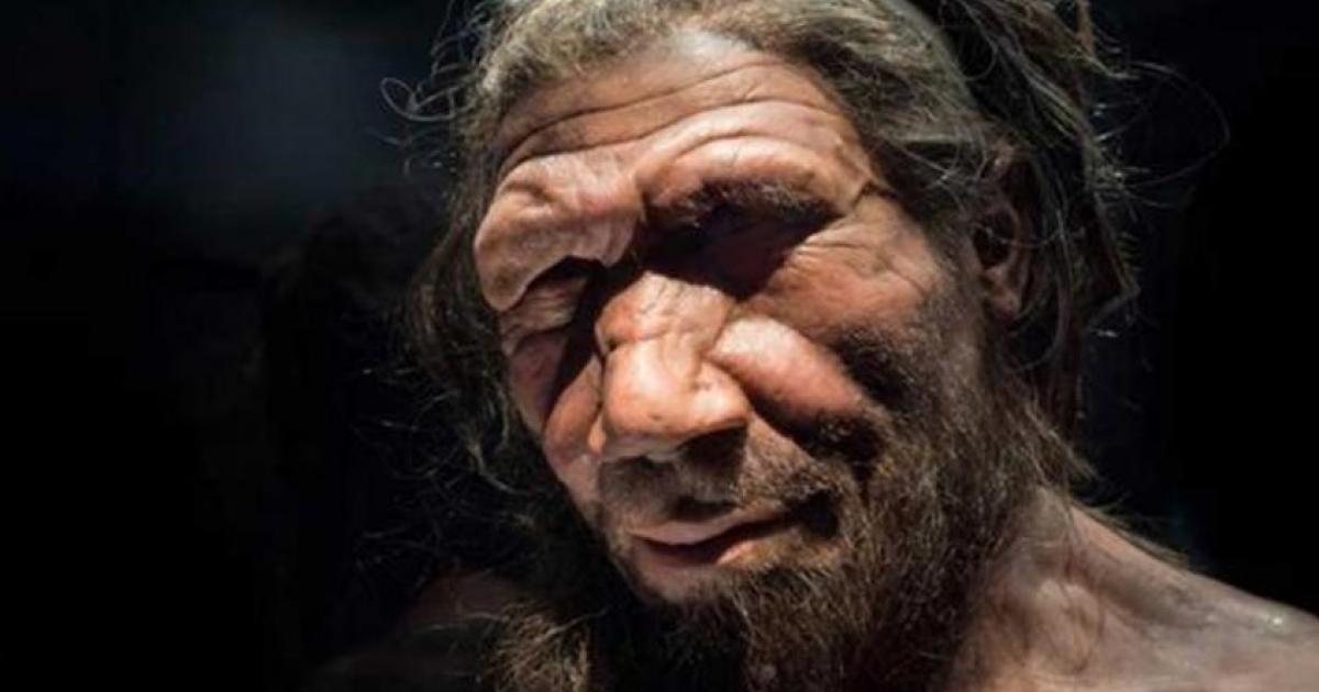 Neanderthal man at the Natural History Museum London