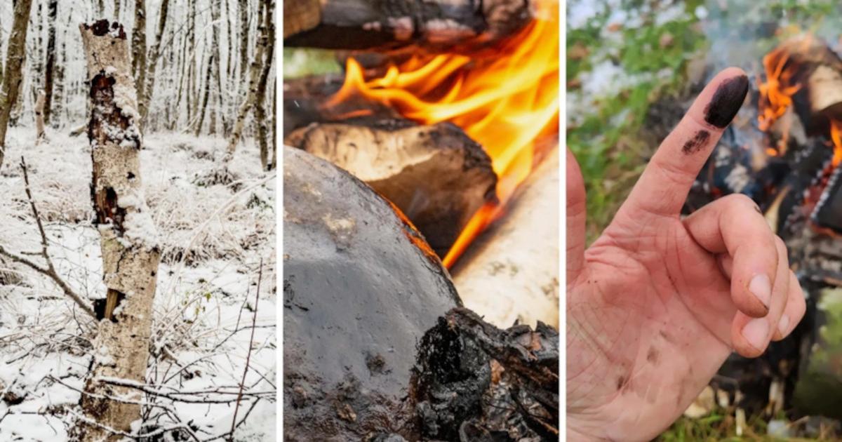 Researchers used methods that Neanderthals also used to produce birch tar.
