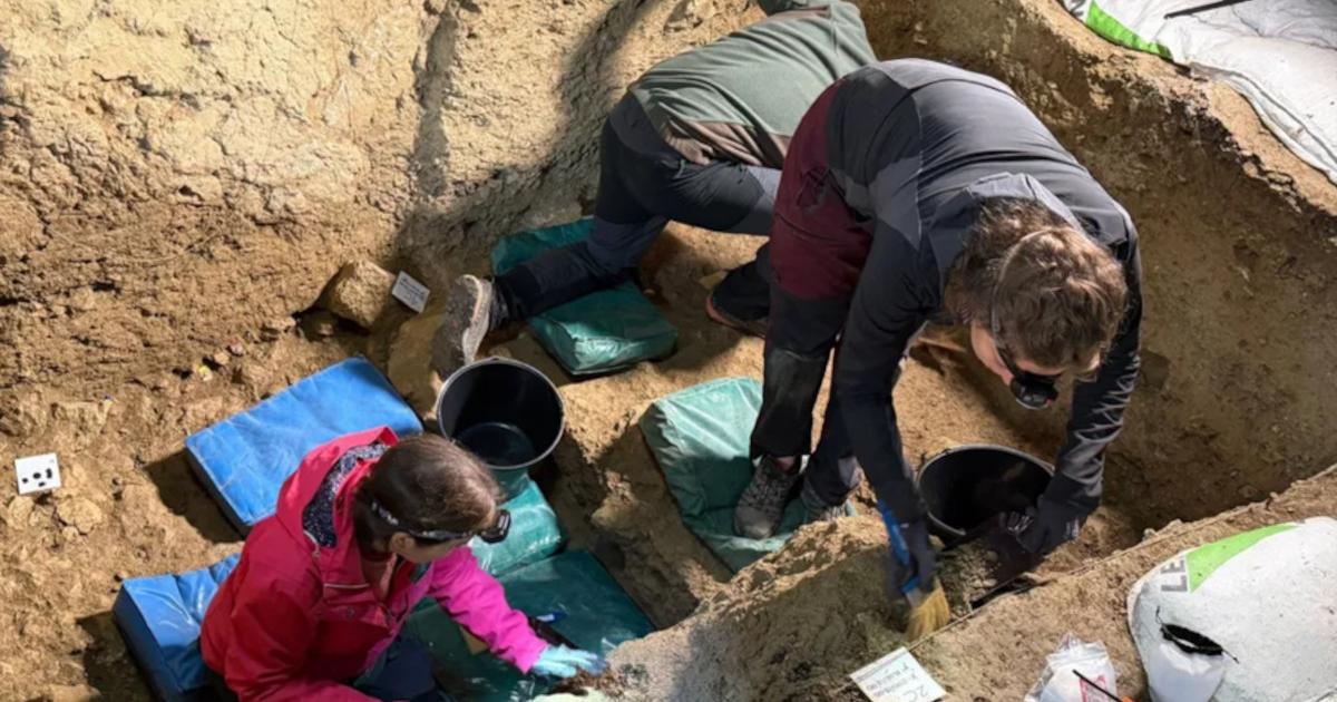 Archaeological excavation work in the area where the Neanderthal DNA producing remains appeared.