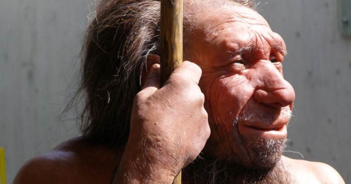 Neanderthals were NOT a sub-species of modern humans