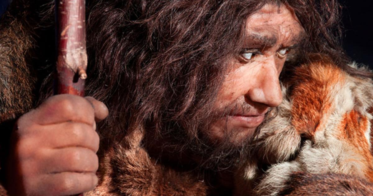 Neanderthal. Source: procy_ab / Adobe Stock
