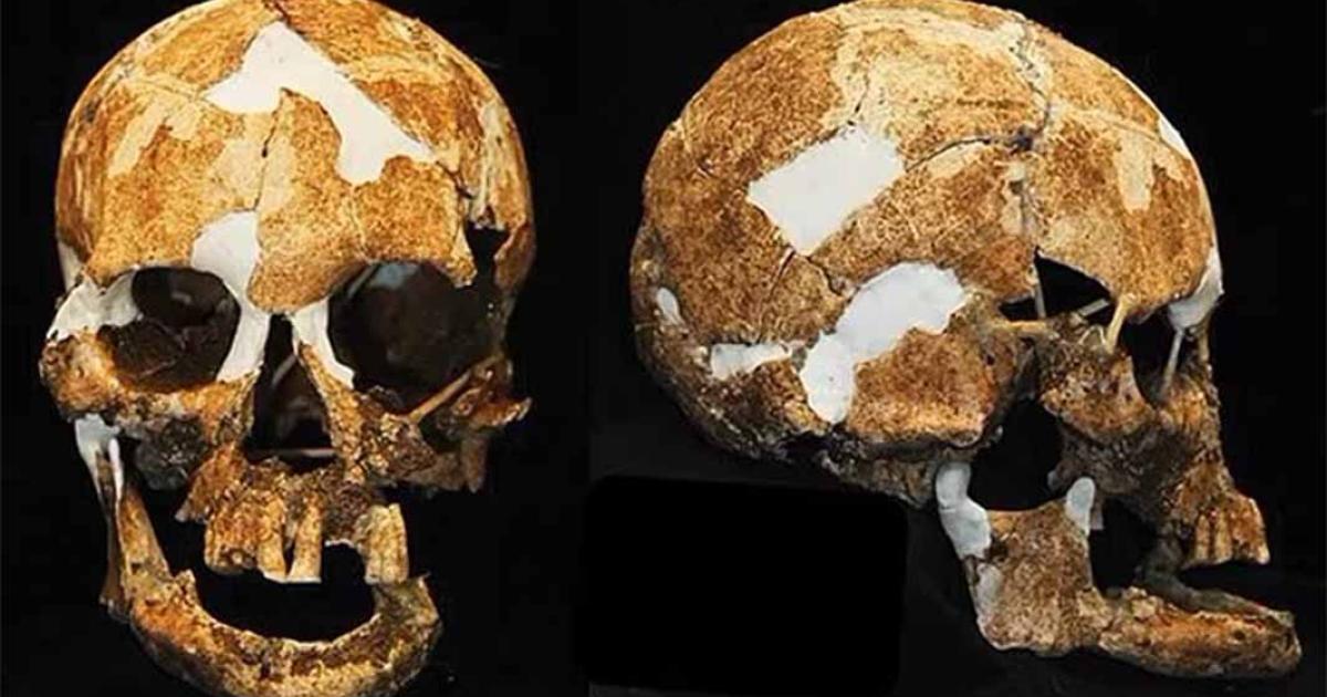 The cranial profile of the female ‘Negrito’ skeleton found in Xiaoma Caves  Source: Hirofumi Matsumura / CC BY NC ND 4.0)