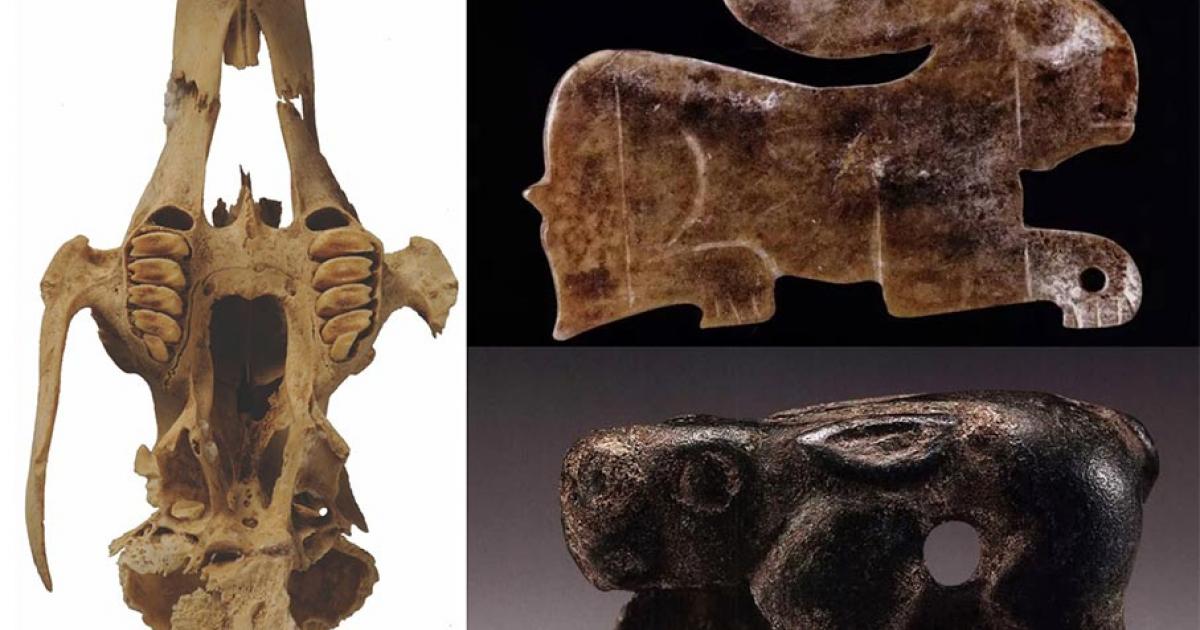 Neolithic Chinese Had a Special Relationship with Hares | Ancient Origins