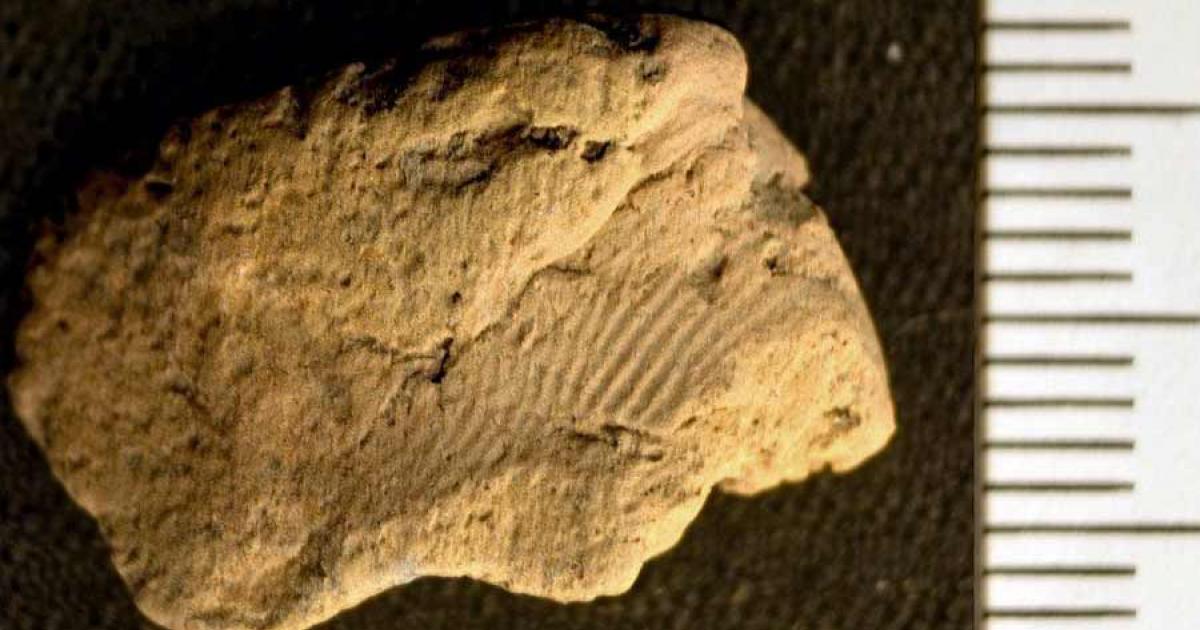 An image of the fingerprint captured using Reflectance Transformation Imaging.	