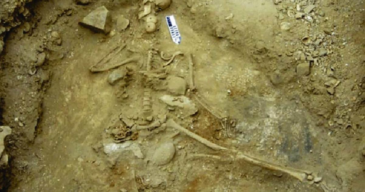 Neolithic fisherman Source: Stephen Bates / Andrade et al.