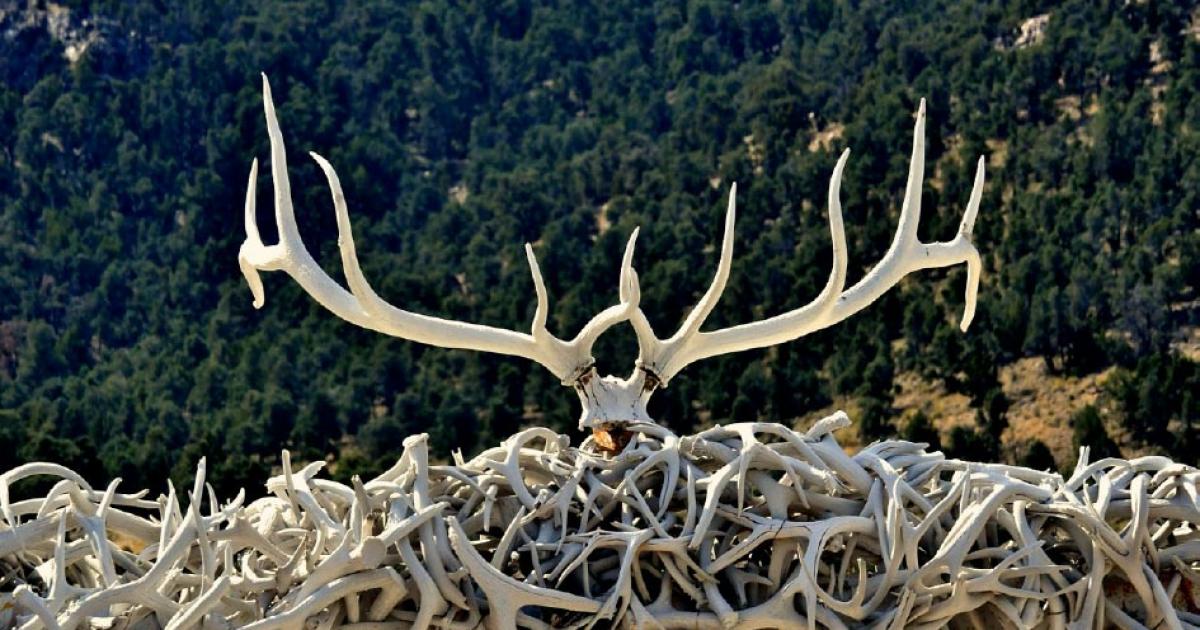 Neolithic ring proved to be made of antler or bone.   Source: John Nakata / Adobe Stock